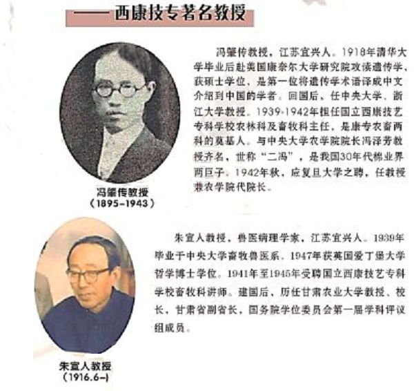 2022061413032316039 2022061413032316039