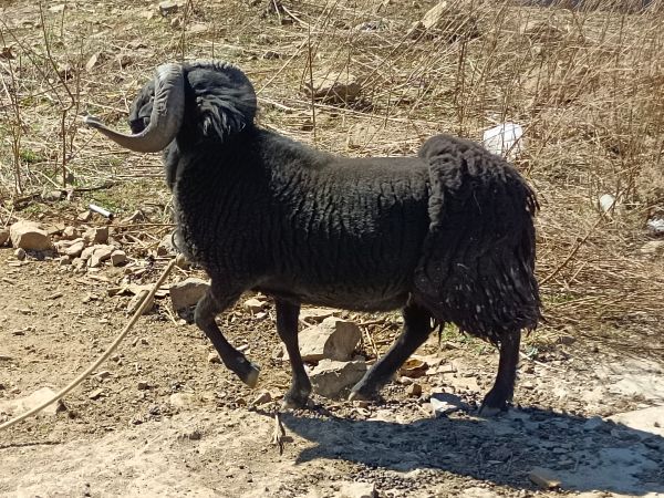 IMG_20220309_152256 IMG_20220309_152256