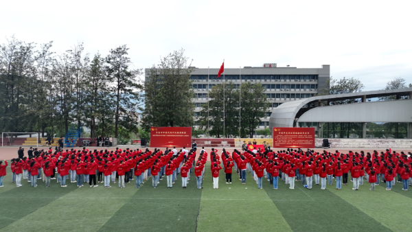 6 - 副本 6 - 副本