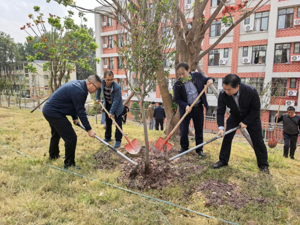 机关植树2 机关植树2