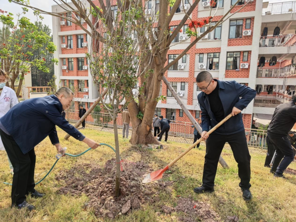 机关植树3 机关植树3