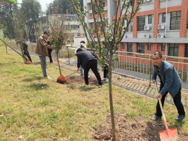 机关植树4 机关植树4