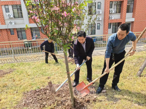 机关植树5 机关植树5