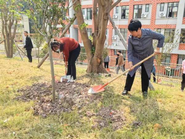 机关植树6 机关植树6