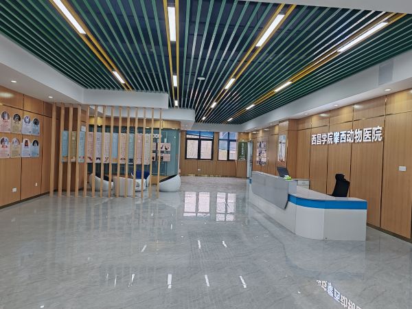 IMG_20231222_100101 IMG_20231222_100101