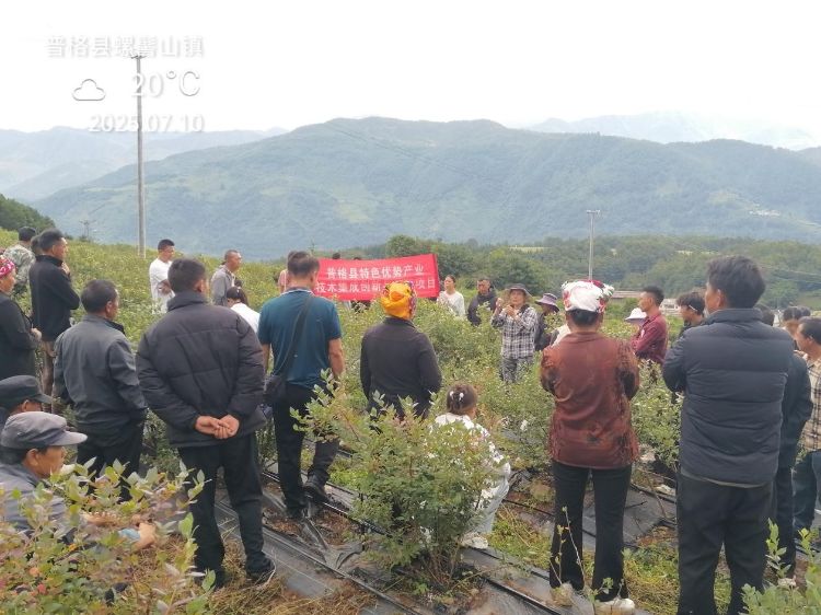 省重点实验室科研人员在普格县德育村开展技术培训