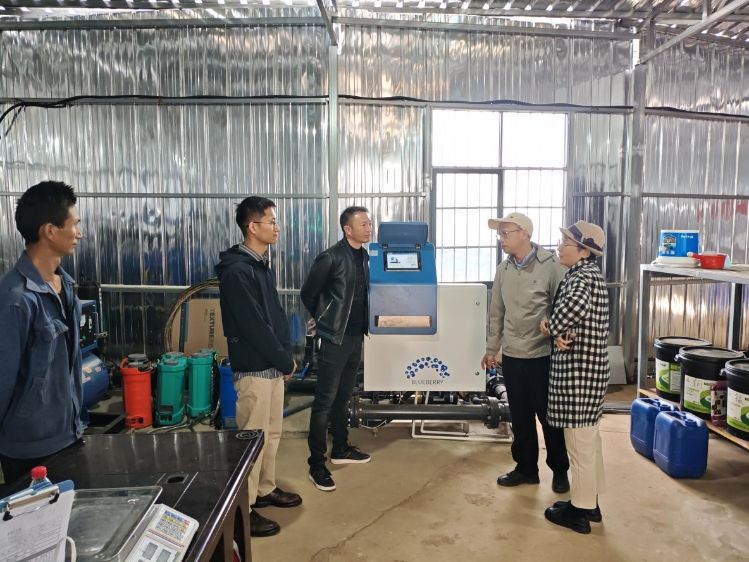 省重点实验室科研人员在德昌县昌州蓝莓现代农业园区开展技术服务