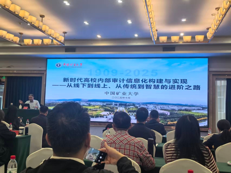 2025.10.29内审信息化构建 2025.10.29内审信息化构建