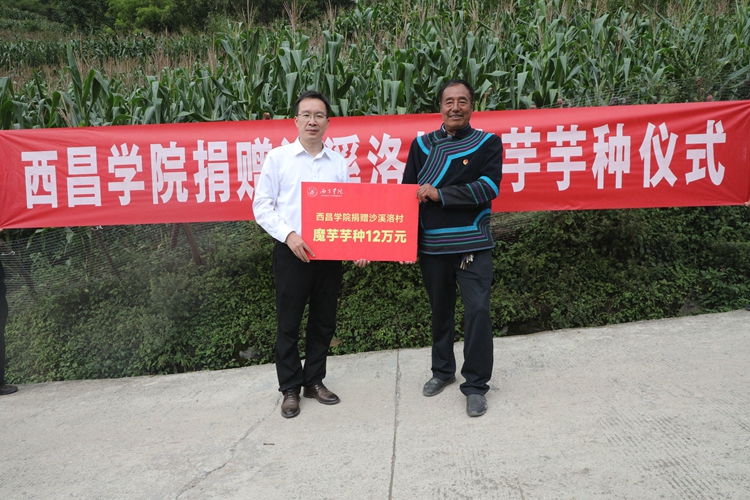 魔芋芋种捐赠仪式