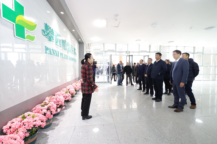 植物医院 植物医院