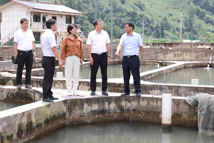 微信图片_20240726165922 微信图片_20240726165922