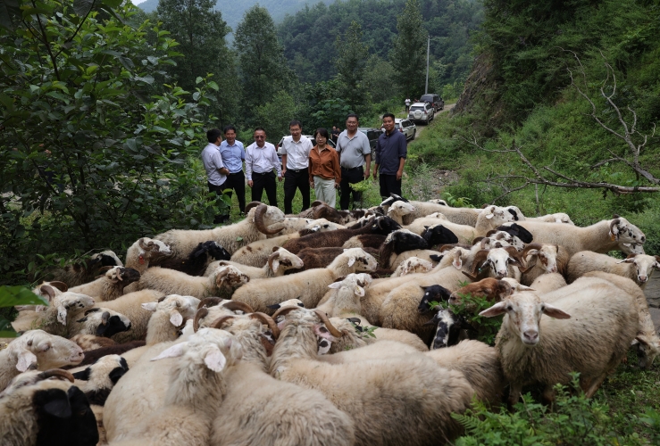 微信图片_20240726165816 微信图片_20240726165816