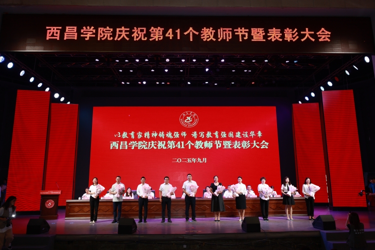 年度教学工作突出个人