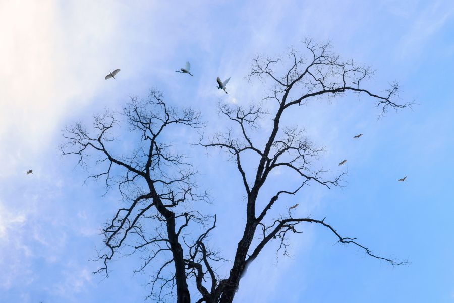 SQ3A4846-恢复的_4