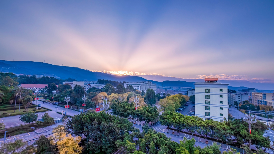 SQ3A4419-已增强-NR_1 拷贝